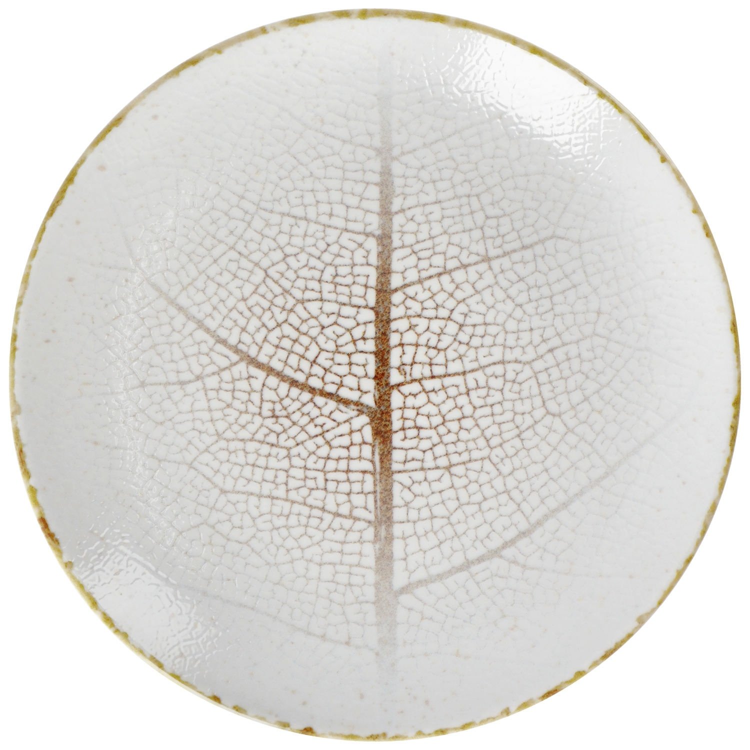 Flat plate Pianta