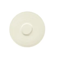 Flat plate Skyline with wide flag